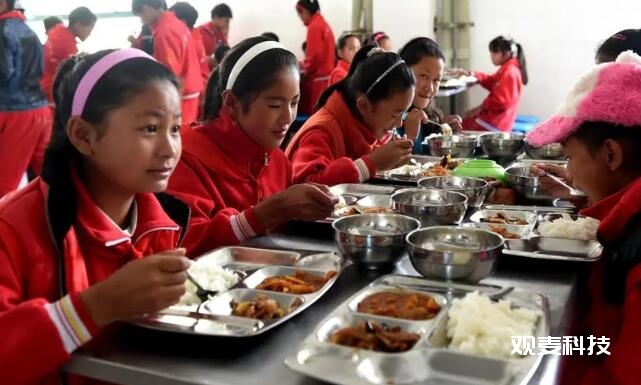 学校采购垄断危险，学校食堂食材配送业务怎么运营