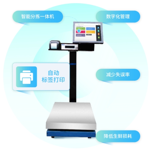 生鲜配送用什么分拣机